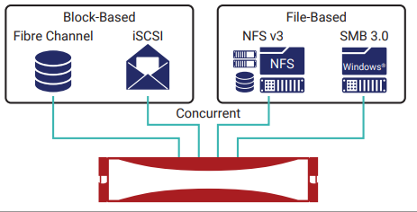 IntelliFlash concurrent multi-protocol access